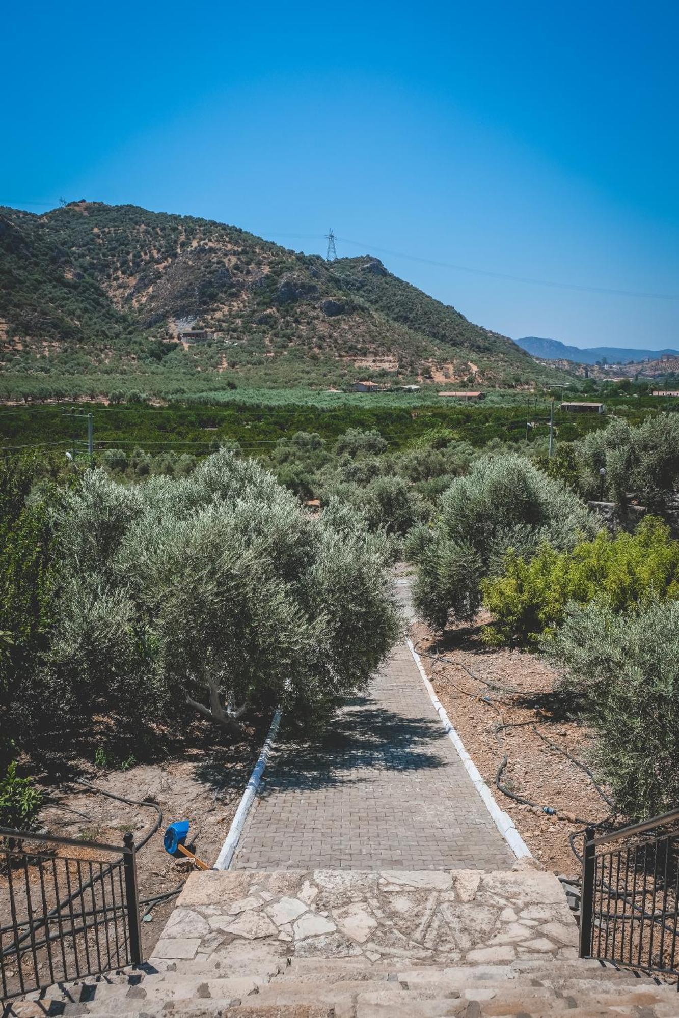 Natureland Efes Pension Selçuk Exterior foto