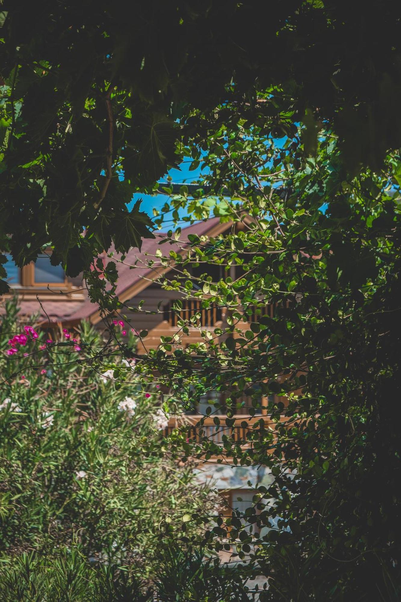 Natureland Efes Pension Selçuk Exterior foto